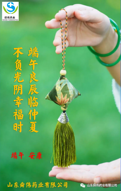 端午快乐 粽享安康